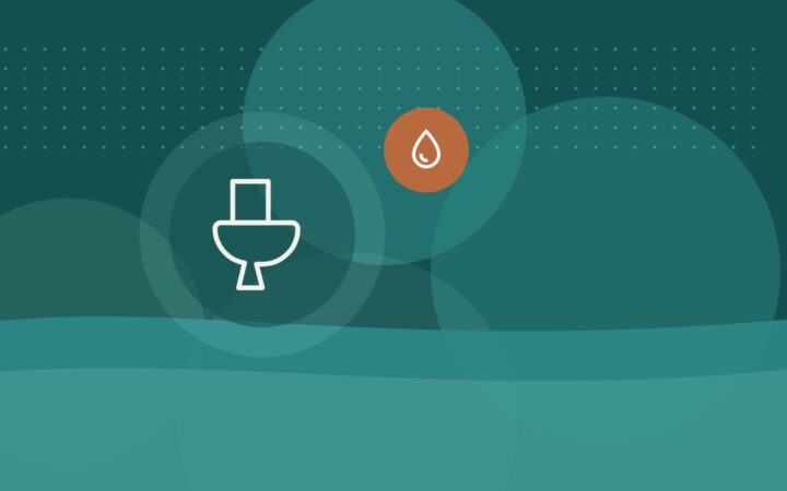 Chasse d’eau double débit : combien d’eau peut-on économiser ?