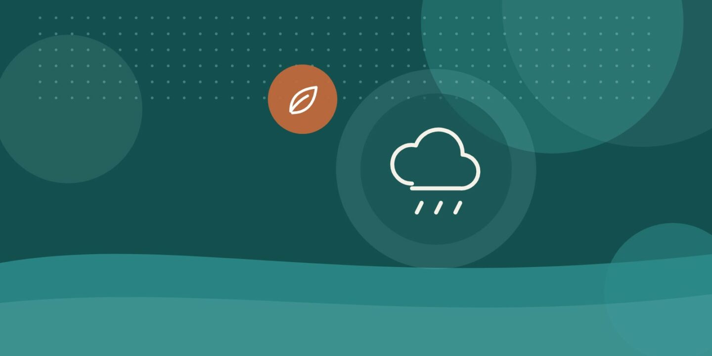 Récupérer l’eau de pluie à la maison : usages autorisés et installation