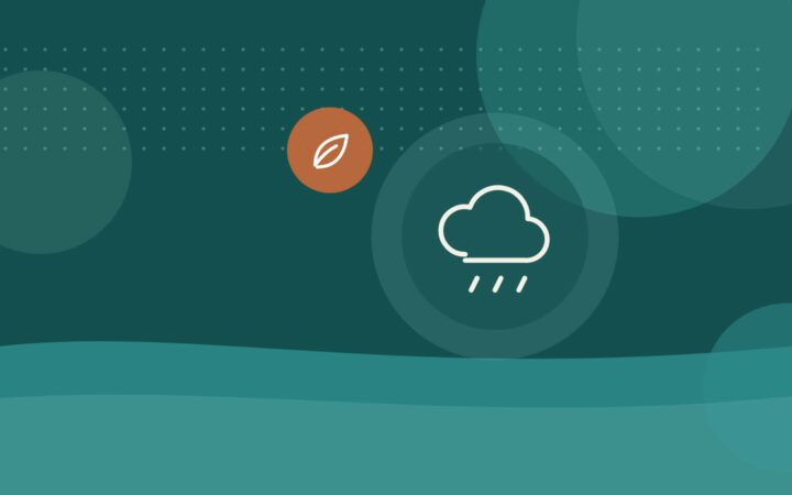 Récupérer l’eau de pluie à la maison : usages autorisés et installation